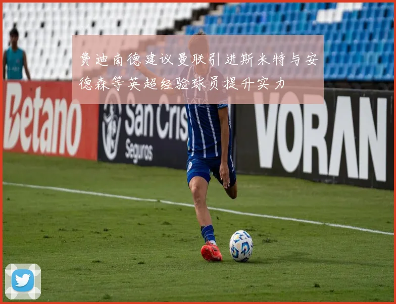 费迪南德建议曼联引进斯米特与安德森等英超经验球员提升实力