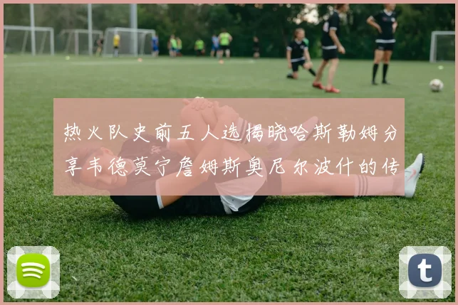 热火队史前五人选揭晓哈斯勒姆分享韦德莫宁詹姆斯奥尼尔波什的传奇地位