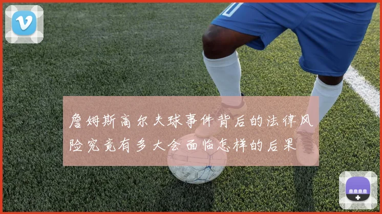 詹姆斯高尔夫球事件背后的法律风险究竟有多大会面临怎样的后果